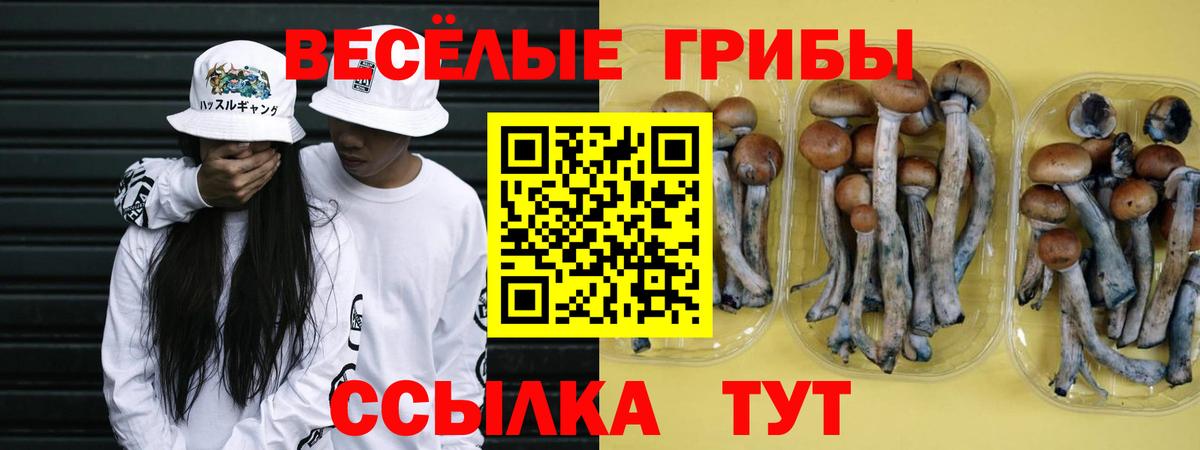 Муравленко  Псилоцибиновые грибы Psilocybe  Вход с VPN 